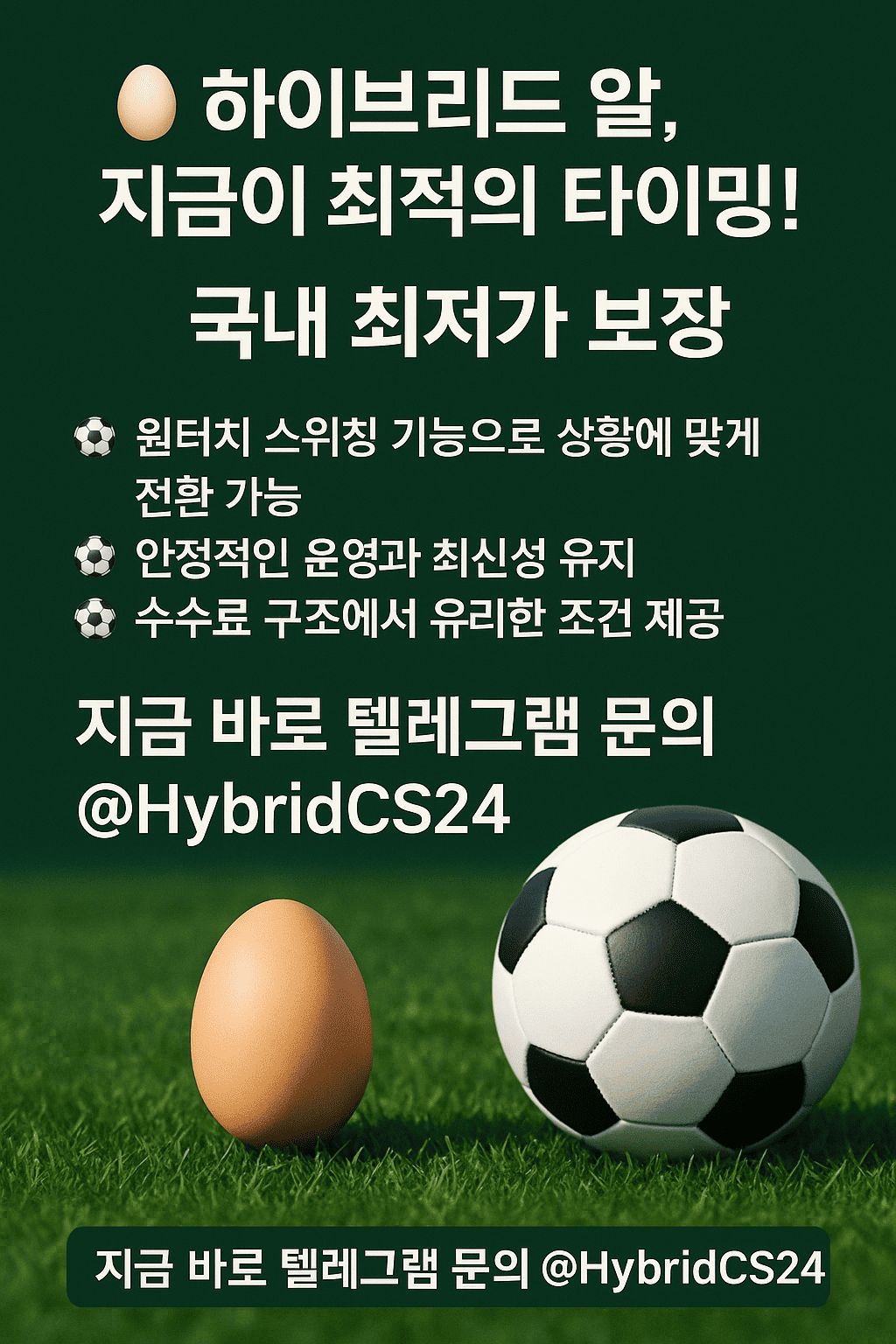 하이브리드알.jpg 하이브리드알.jpg