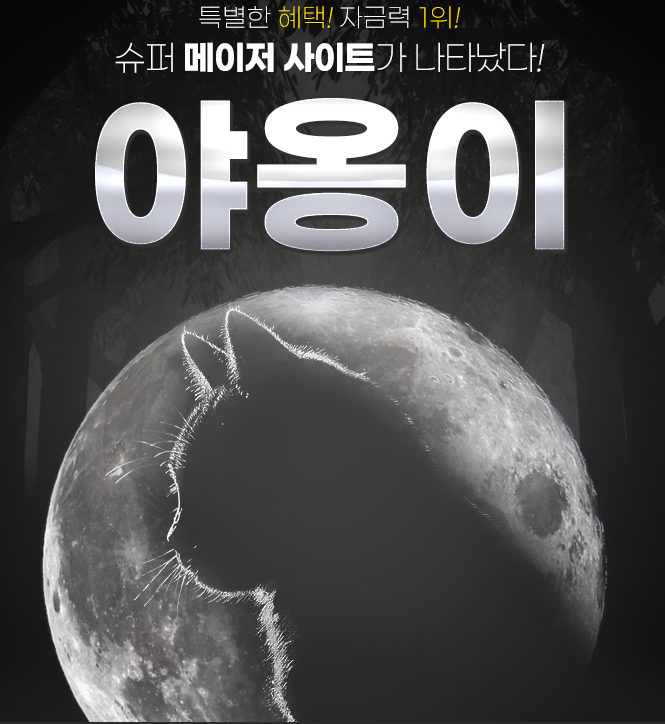 다음드 인증업체 - 야옹이